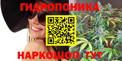амф Нальчик