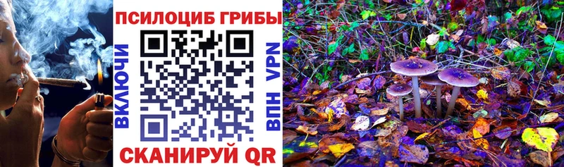 Псилоцибиновые грибы мицелий  Северобайкальск 