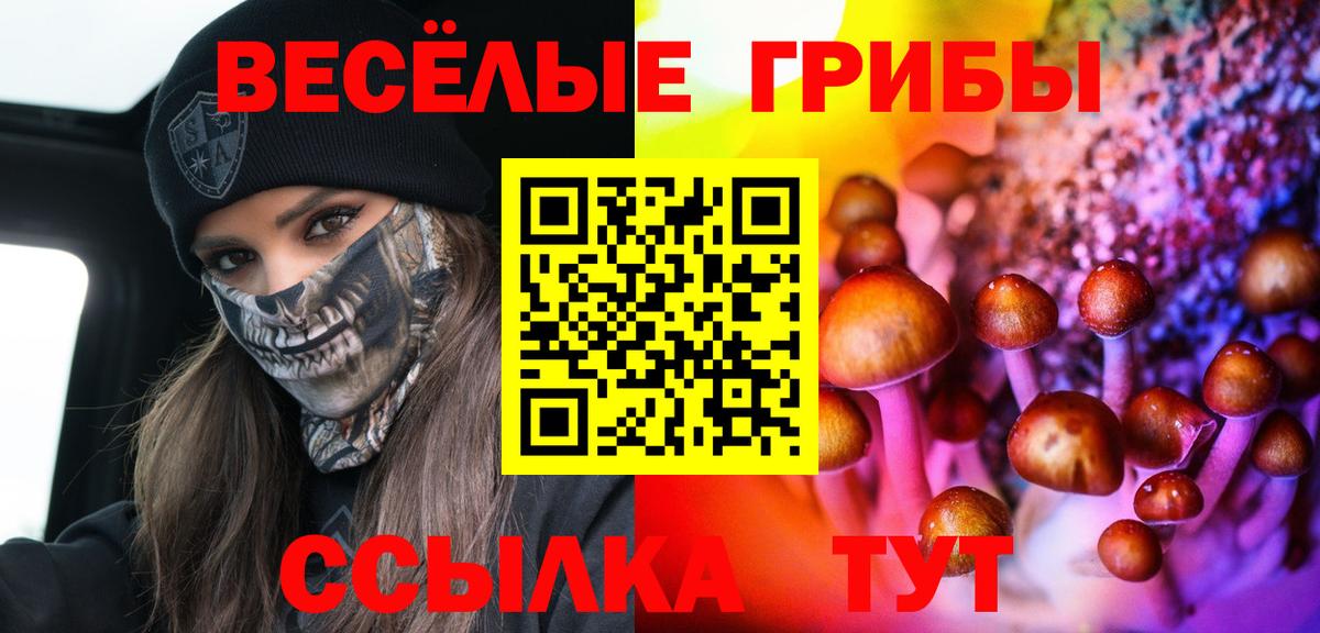 Северобайкальск  Галлюциногенные грибы GOLDEN TEACHER  Вход с VPN 