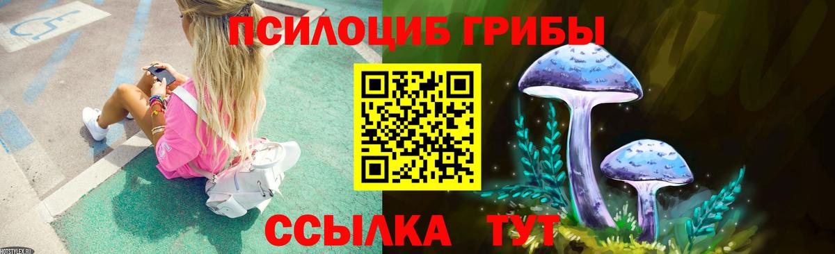 Псилоцибиновые грибы прущие грибы Северобайкальск